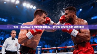 飞塔（Fortinet）VPN技术解析，企业级安全接入的可靠选择