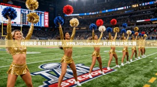 校园网安全升级新举措，VPN.btbu.edu.cn 的启用与优化实践