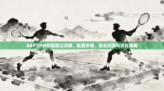 BGP VPN邻居建立详解，配置步骤、常见问题与优化策略