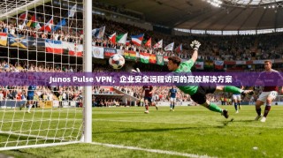 Junos Pulse VPN，企业安全远程访问的高效解决方案