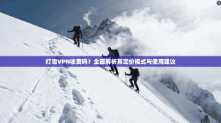 灯泡VPN收费吗？全面解析其定价模式与使用建议