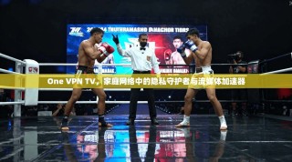 One VPN TV，家庭网络中的隐私守护者与流媒体加速器