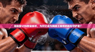 海蜘蛛VPN数量解析，为何它成为网络工程师的隐形守护者？