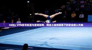 SNNU VPN账号配置与使用指南，网络工程师视角下的安全接入方案