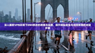 深入解析VPN环境下DNS修改的原理与实践，提升隐私安全与访问效率的关键步骤