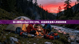 深入解析Juniper SSG VPN，企业级安全接入的坚实防线