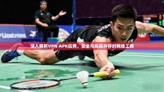 深入解析VPN APK应用，安全与风险并存的网络工具