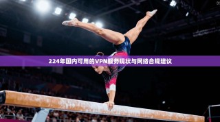 224年国内可用的VPN服务现状与网络合规建议