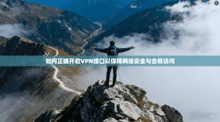 如何正确开启VPN接口以保障网络安全与合规访问