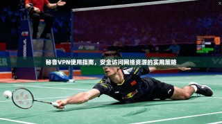 秘鲁VPN使用指南，安全访问网络资源的实用策略