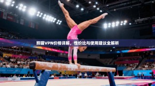 熊猫VPN价格详解，性价比与使用建议全解析