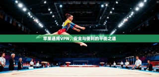苹果通用VPN，安全与便利的平衡之道