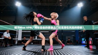 橘子Plus VPN，网络自由的便捷之门还是潜在风险的暗礁？