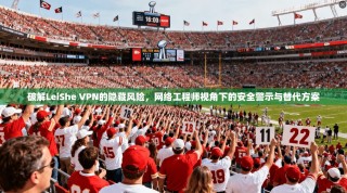 破解LeiShe VPN的隐藏风险，网络工程师视角下的安全警示与替代方案