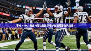 寒梅 VPN，安全与隐私的数字守护者还是潜在风险源？