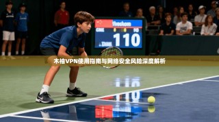 木柚VPN使用指南与网络安全风险深度解析