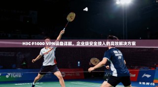 H3C F1000 VPN设备详解，企业级安全接入的高效解决方案