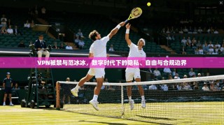 VPN被禁与范冰冰，数字时代下的隐私、自由与合规边界