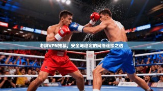 老牌VPN推荐，安全与稳定的网络连接之选