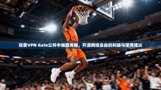 探索VPN Gate公共中继服务器，开源网络自由的利器与使用建议