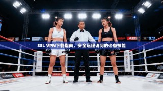 SSL VPN下载指南，安全远程访问的必备技能