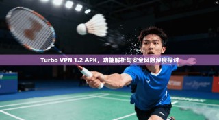 Turbo VPN 1.2 APK，功能解析与安全风险深度探讨