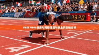 VEEE VPN 使用对网络性能与安全的影响分析