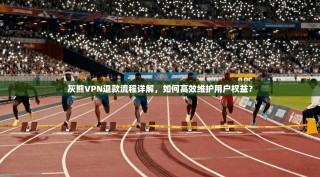 灰熊VPN退款流程详解，如何高效维护用户权益？