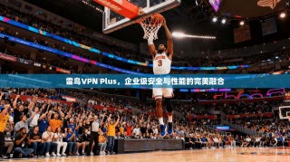 雷鸟VPN Plus，企业级安全与性能的完美融合