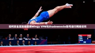 如何安全高效地使用Wingy VPN与Shadowsocks账号进行网络访问