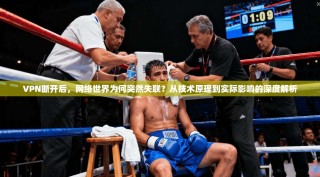 VPN断开后，网络世界为何突然失联？从技术原理到实际影响的深度解析