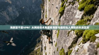 海豚算不算VPN？从网络技术角度看海豚与虚拟私人网络的本质区别