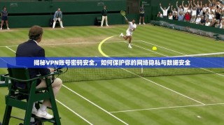 揭秘VPN账号密码安全，如何保护你的网络隐私与数据安全