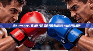 绿叶VPN App，便捷访问背后的网络安全隐患与合规风险解析