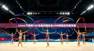 Linux下使用TAP设备构建安全VPN网络的完整指南