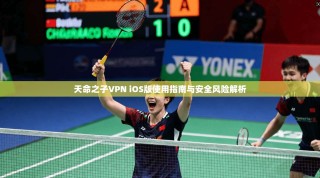 天命之子VPN iOS版使用指南与安全风险解析