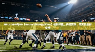 MPLS VPN与RD（Route Distinguisher）机制详解，构建高效、隔离的虚拟专网