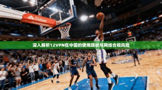 深入解析12VPN在中国的使用现状与网络合规风险