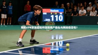 海鸥VPN更新后如何保障用户隐私与网络稳定性？