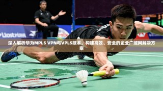 深入解析华为MPLS VPN与VPLS技术，构建高效、安全的企业广域网解决方案