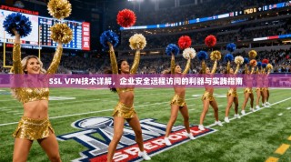 SSL VPN技术详解，企业安全远程访问的利器与实践指南