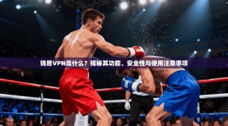 钱盾VPN是什么？揭秘其功能、安全性与使用注意事项