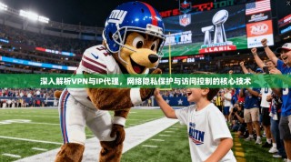 深入解析VPN与IP代理，网络隐私保护与访问控制的核心技术