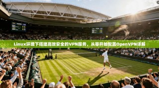 Linux环境下搭建高效安全的VPN服务，从零开始配置OpenVPN详解