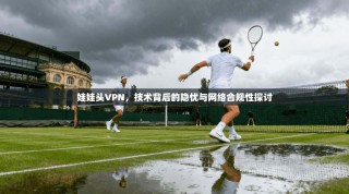 娃娃头VPN，技术背后的隐忧与网络合规性探讨