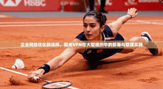企业网络优化新选择，雷光VPN在大型组织中的部署与管理实践
