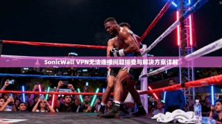 SonicWall VPN无法连接问题排查与解决方案详解