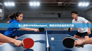 深入解析VPN与GoAgent，网络访问自由的双刃剑