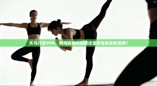 天马行空VPN，网络自由的翅膀还是安全隐患的温床？