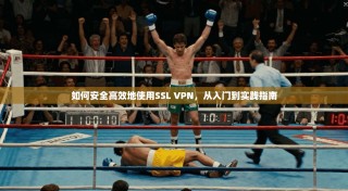 如何安全高效地使用SSL VPN，从入门到实践指南